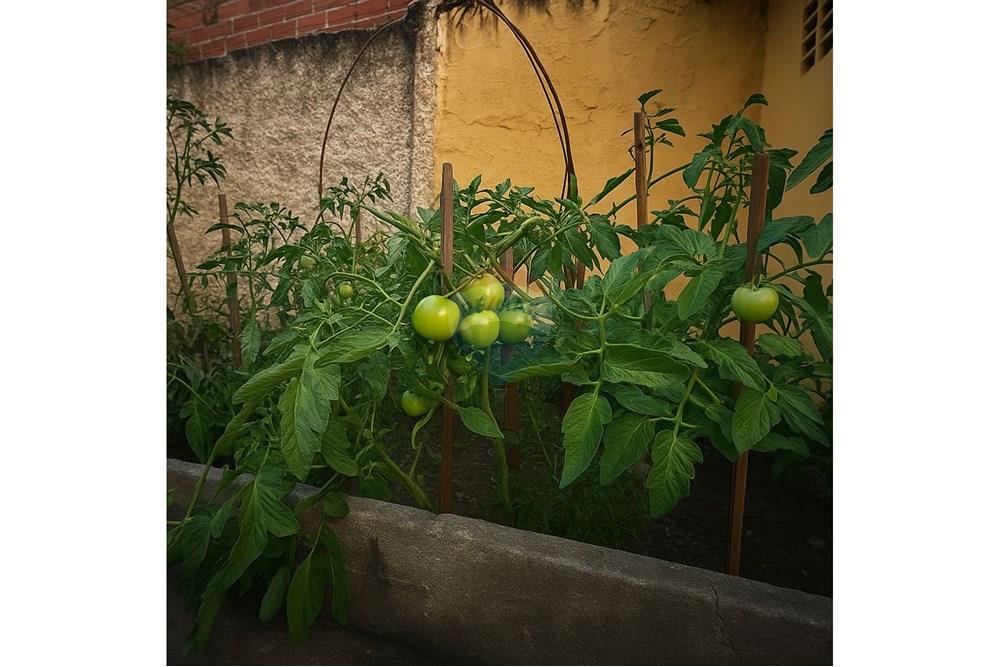 Casa - Venda - Nossa Senhora do Socorro , Sergipe - Imagem do WhatsApp de 2025-10-23 à(s) 14.55.44_3b296116.jpg - 850631012-35