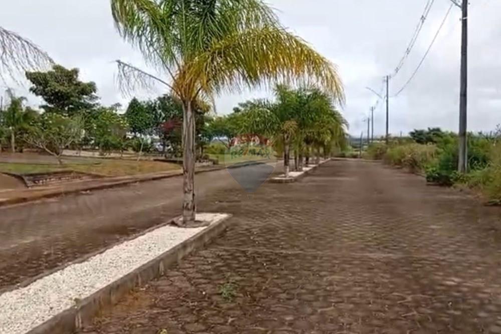 Terreno - Venda - Palmeira dos Índios , Alagoas - WhatsApp Image 2025-11-14 at 16.53.27 (4).jpeg - 850271243-9