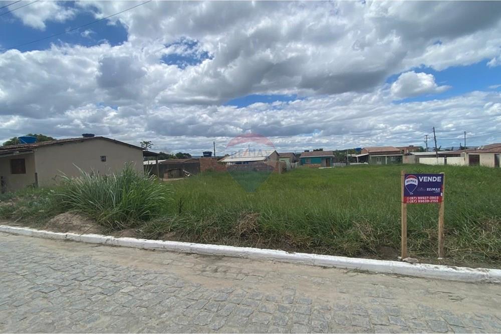 Terreno - Venda - Brejão , Pernambuco - Onça 13.jpeg - 850741009-3