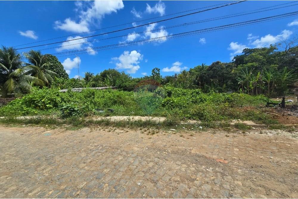 Terreno - Venda - Cabo de Santo Agostinho , Pernambuco - WhatsApp Image 2025-12-14 at 21.14.55 (1).jpeg - 850281036-132