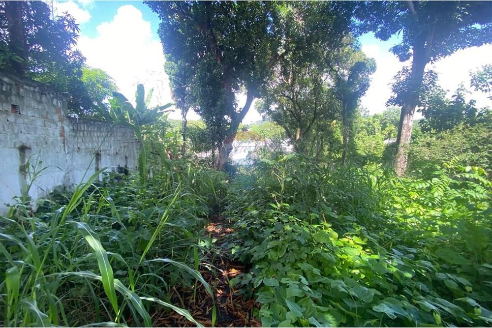 Casa Comercial - Venda - Recife , Pernambuco - IMG-20250617-WA0542.jpg - 850701012-89