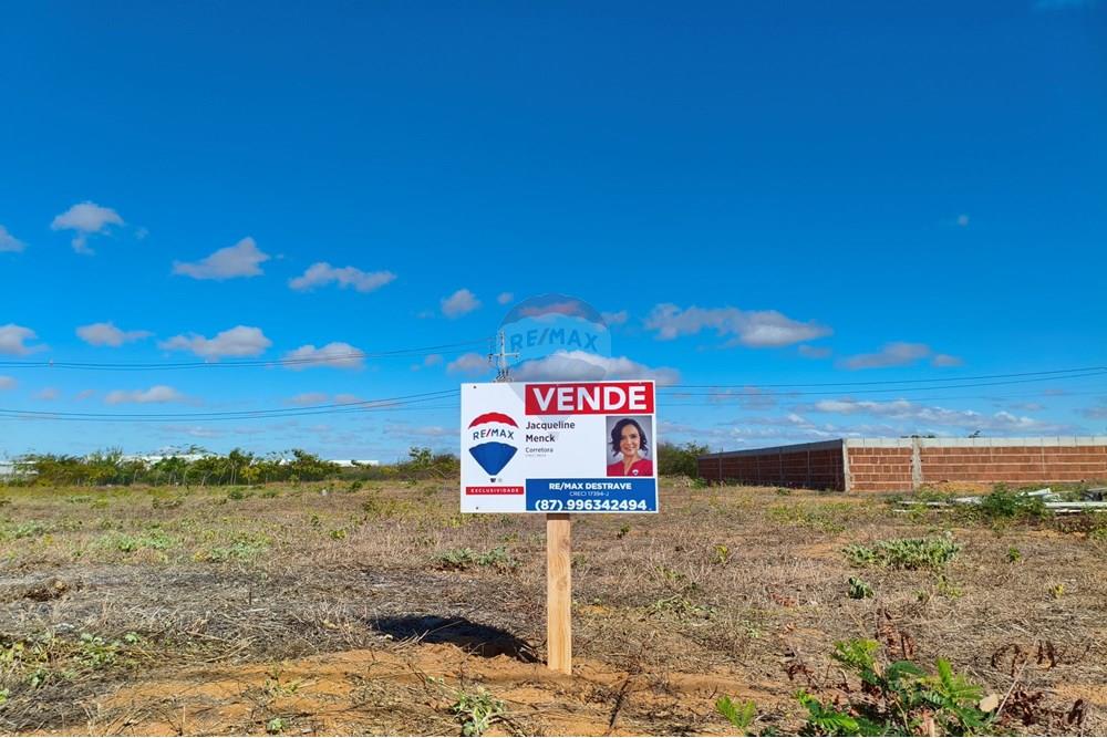 Terreno - Venda - Petrolina , Pernambuco - IMG_20250528_090144.jpg - 850611008-66