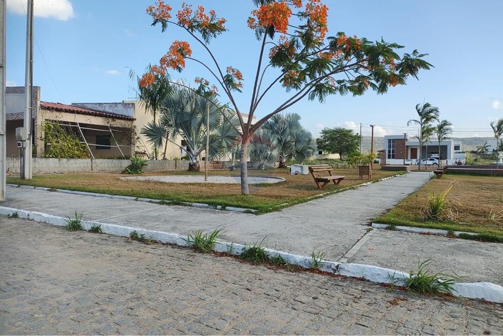 Terreno - Venda - Sairé , Pernambuco - 05a31b9a-a6ee-4528-9027-8cea18557c6c.jpg - 850501080-139