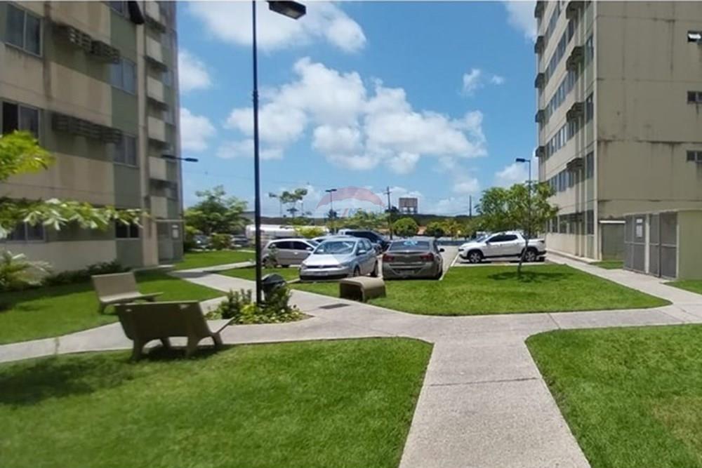 Apartamento - Venda - Ipojuca , Pernambuco - WhatsApp Image 2025-03-16 at 16.11.33 (2).jpeg - 850281001-30