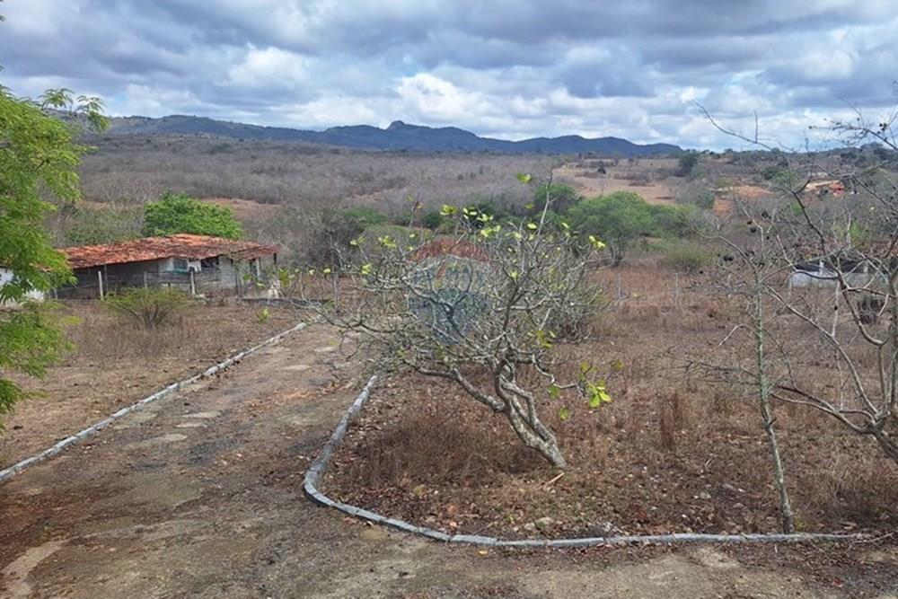 Chácara / Sítio / Fazenda - Venda - Caruaru , Pernambuco - WhatsApp Image 2026-03-02 at 14.27.30.jpeg - 850161060-46