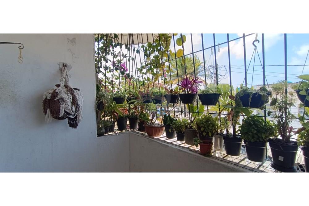 Casa - Venda - Recife , Pernambuco - 16.jpeg - 850251083-43