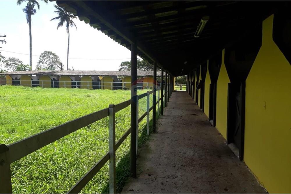 Chácara / Sítio / Fazenda - Venda - Camaragibe , Pernambuco - 0ffa64cc-47fd-46e6-a72f-475933b14414.jpg - 850251079-75