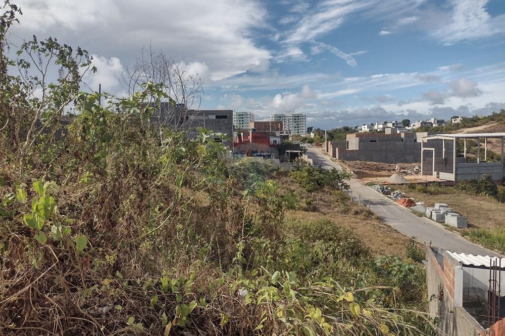 Terreno - Venda - Maceió , Alagoas - IMG_20260109_151241872_HDR.jpg - 850711012-64