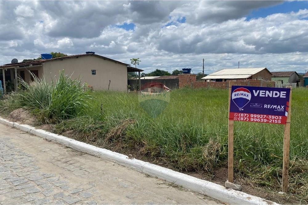 Terreno - Venda - Brejão , Pernambuco - Onça 2.jpeg - 850741009-2