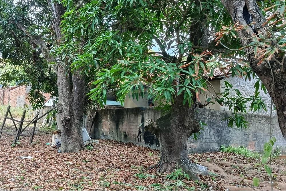 Terreno - Venda - Maceió , Alagoas - WhatsApp Image 2025-12-10 at 15.35.59 (3).jpeg - 850271159-435