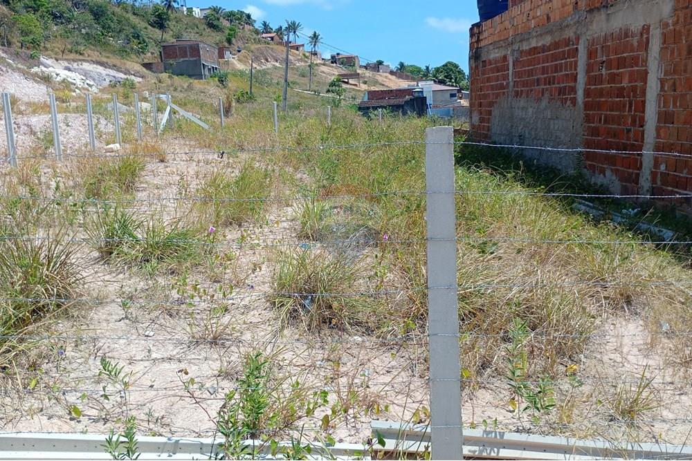 Terreno - Venda - Tamandaré , Pernambuco - 1000111840.jpg - 850501197-7