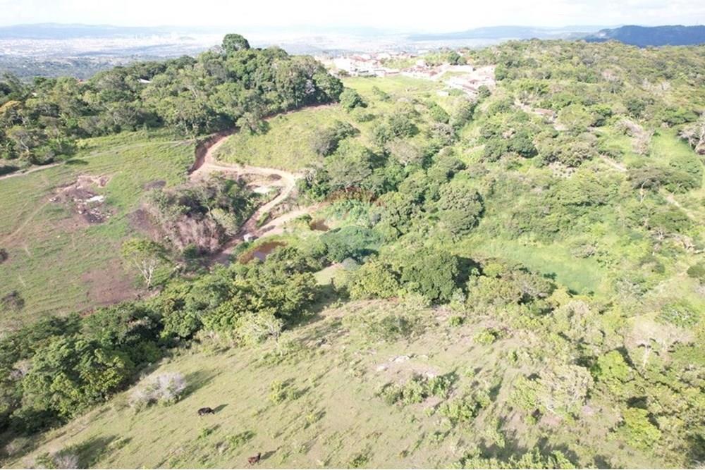 Chácara / Sítio / Fazenda - Venda - Caruaru , Pernambuco - Captura de tela 2025-03-21 122809.jpg - 850161001-425