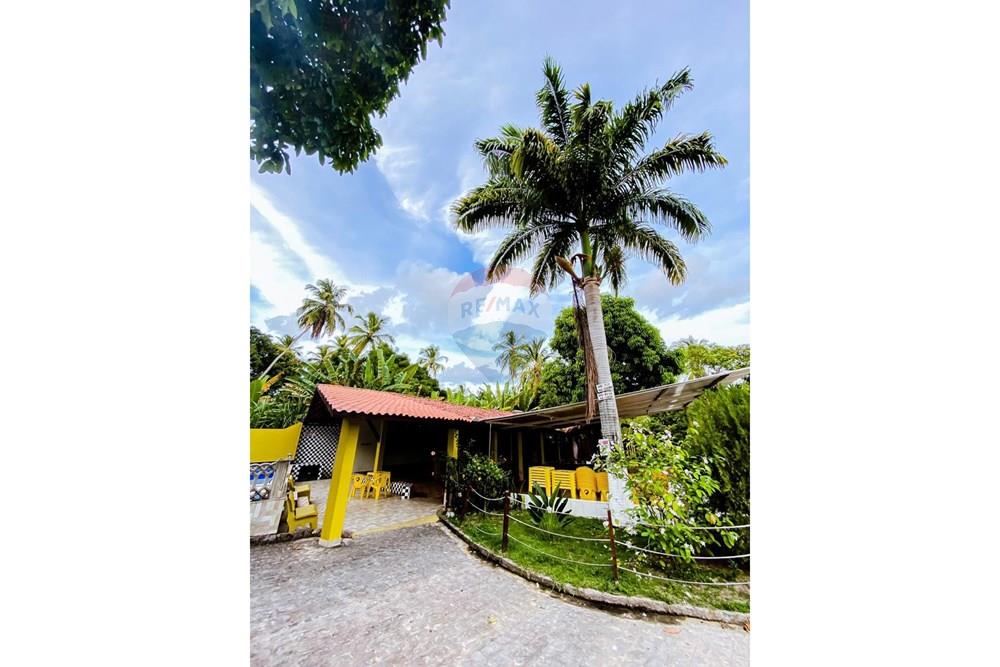 Chácara / Sítio / Fazenda - Venda - Tamandaré , Pernambuco - WhatsApp_Image_2026-02-12_at_06.39.46_(1)[1].jpeg - 850221048-18