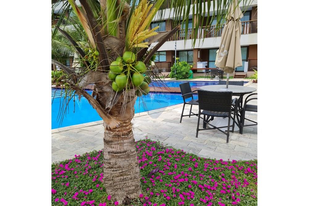 Apartamento - Venda - Ipojuca , Pernambuco - Imagem do WhatsApp de 2024-07-16 à(s) 13.02.01_dfda4634.jpg - 850221031-270