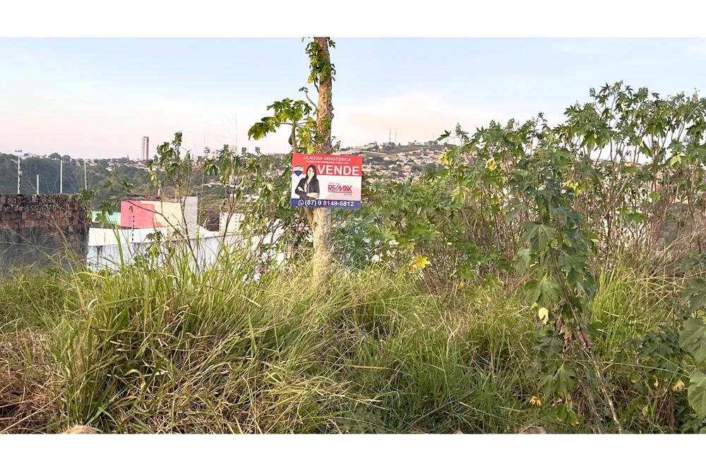 Terreno - Venda - Garanhuns , Pernambuco - IMG_2406.jpeg - 850741004-297