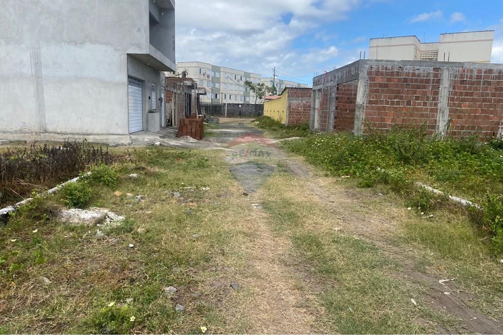 Terreno - Venda - Ipojuca , Pernambuco - WhatsApp Image 2026-02-17 at 12.37.52 (3).jpeg - 850221030-41