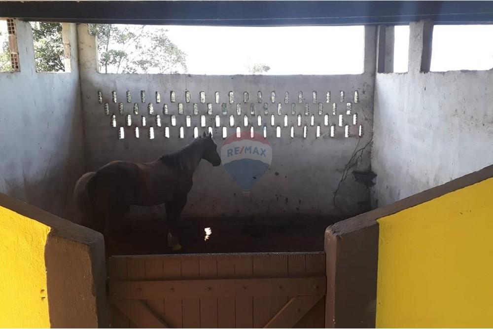 Chácara / Sítio / Fazenda - Venda - Camaragibe , Pernambuco - c6dfc39f-9ed1-46a5-80ad-03b4c03f2128.jpg - 850251079-75