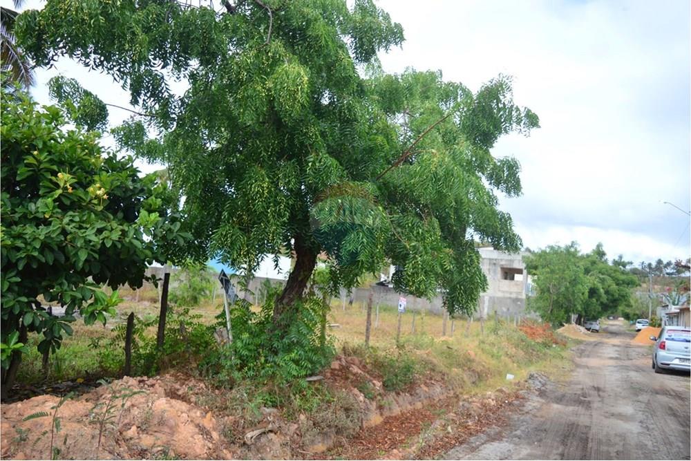 Residential - Land - Maragogi , Alagoas - BR - 5fc6f393-e90d-4743-ac51-cdd5f760b2d8.jpeg - 850291009-32