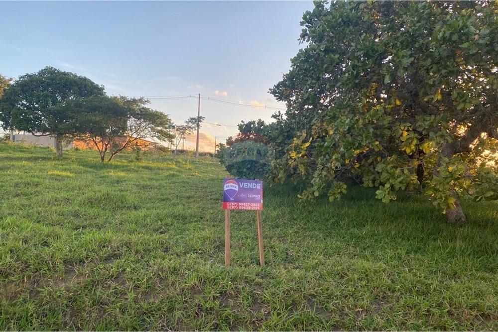 Terreno - Venda - Garanhuns , Pernambuco - WhatsApp Image 2026-03-27 at 15.40.54 (2).jpeg - 850741009-1