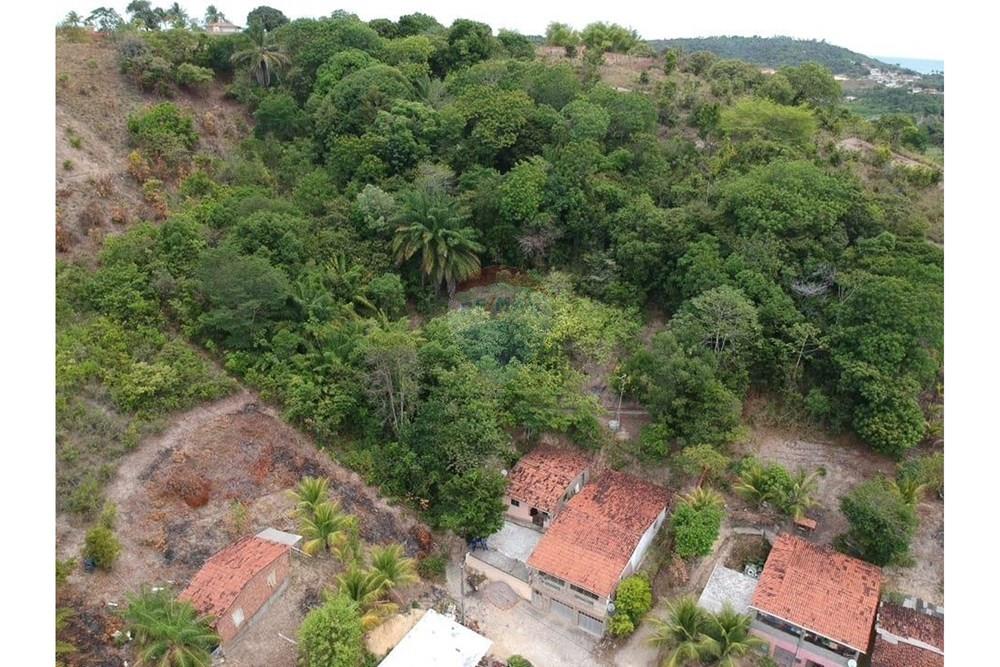 Chácara / Sítio / Fazenda - Venda - Cabo de Santo Agostinho , Pernambuco - WhatsApp Image 2024-12-10 at 18.00.34.jpeg - 850281039-19