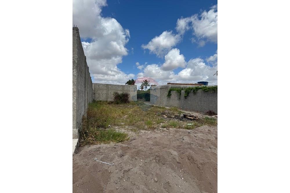 Terreno - Venda - São João , Pernambuco - WhatsApp Image 2026-02-11 at 08.53.11 (2).jpeg - 850131003-535