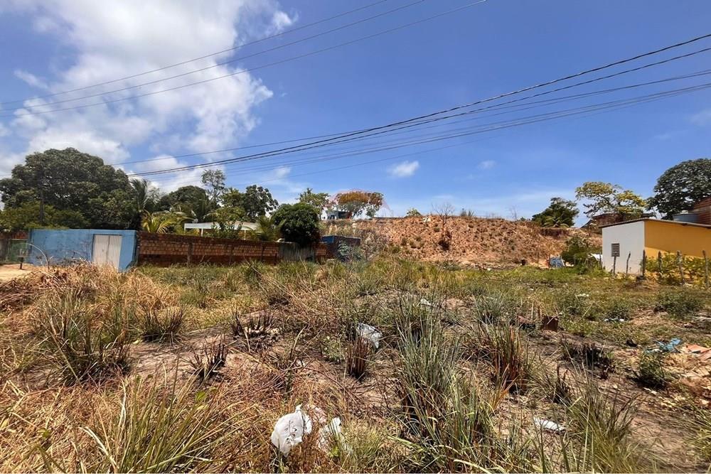 Terreno - Venda - Cabo de Santo Agostinho , Pernambuco - WhatsApp Image 2026-02-03 at 12.21.29 (3).jpeg - 850281001-64