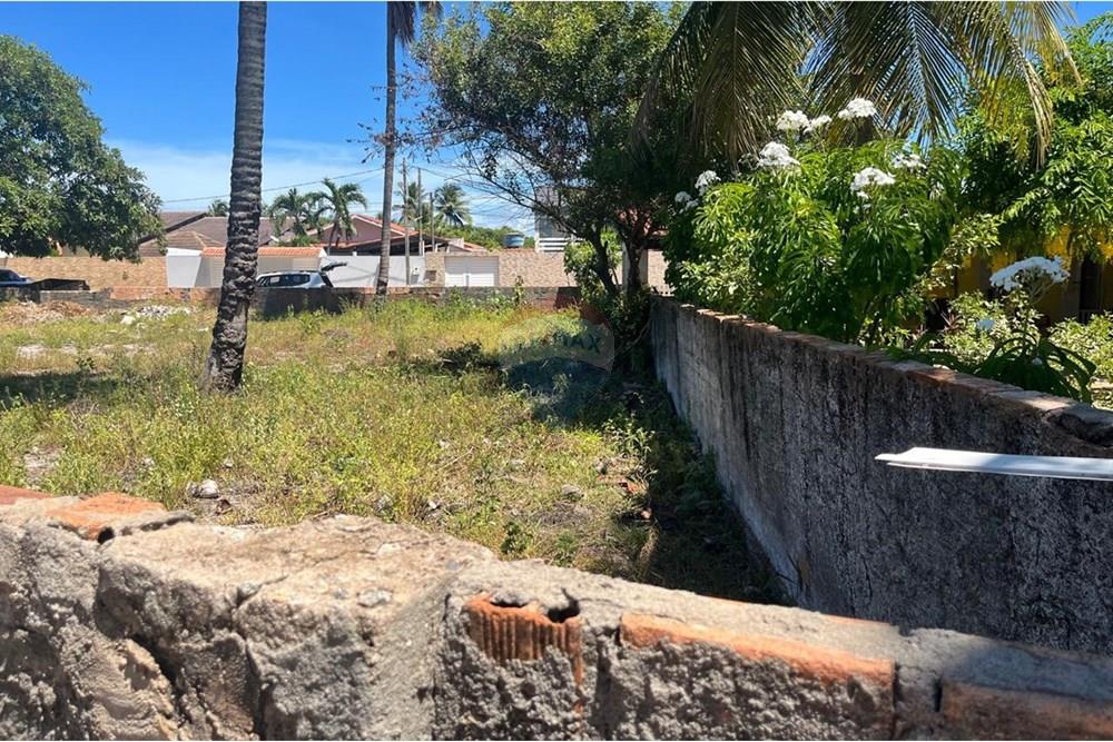 Terreno - Venda - Sirinhaém , Pernambuco - WhatsApp Image 2025-05-08 at 17.21.08 (1).jpeg - 850721002-153