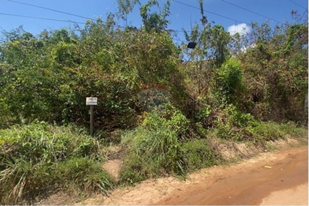 Terreno - Venda - Maragogi , Alagoas - foto terreno heraldo.jpg - 850271264-22