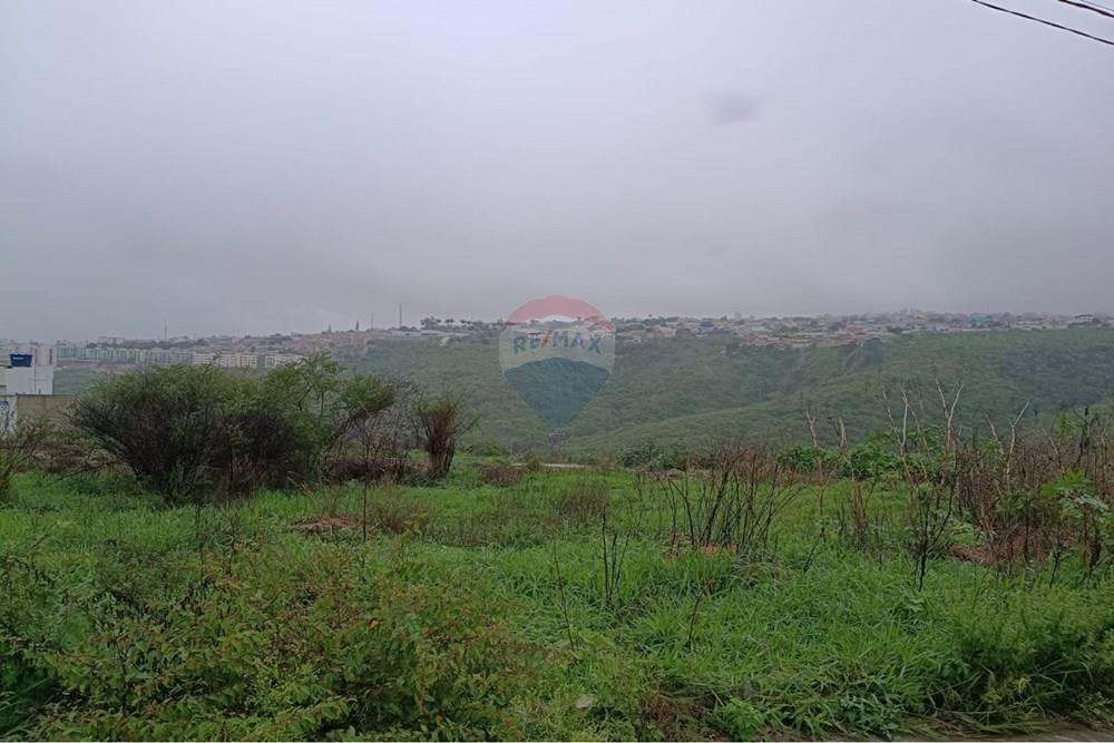 Terreno - Venda - Garanhuns , Pernambuco - WhatsApp Image 2026-03-11 at 11.09.37.jpeg - 850741008-3