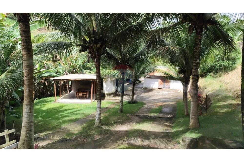 Chácara / Sítio / Fazenda - Venda - Maceió , Alagoas - HARAS06.jpg - 850141043-95