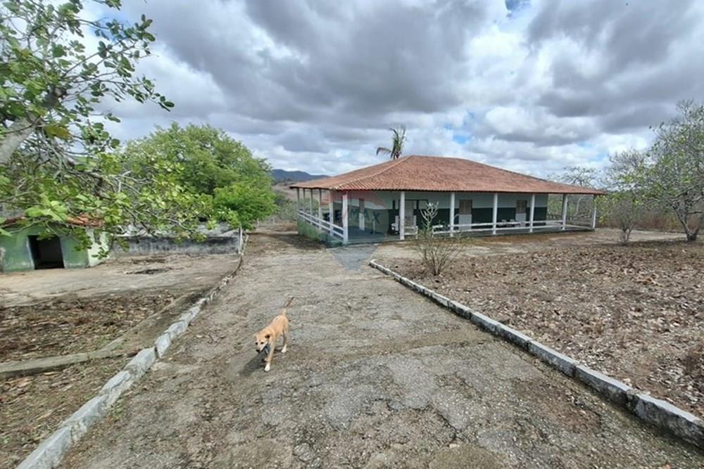 Chácara / Sítio / Fazenda - Venda - Caruaru , Pernambuco - WhatsApp Image 2026-03-02 at 12.25.26 (1).jpeg - 850161060-46