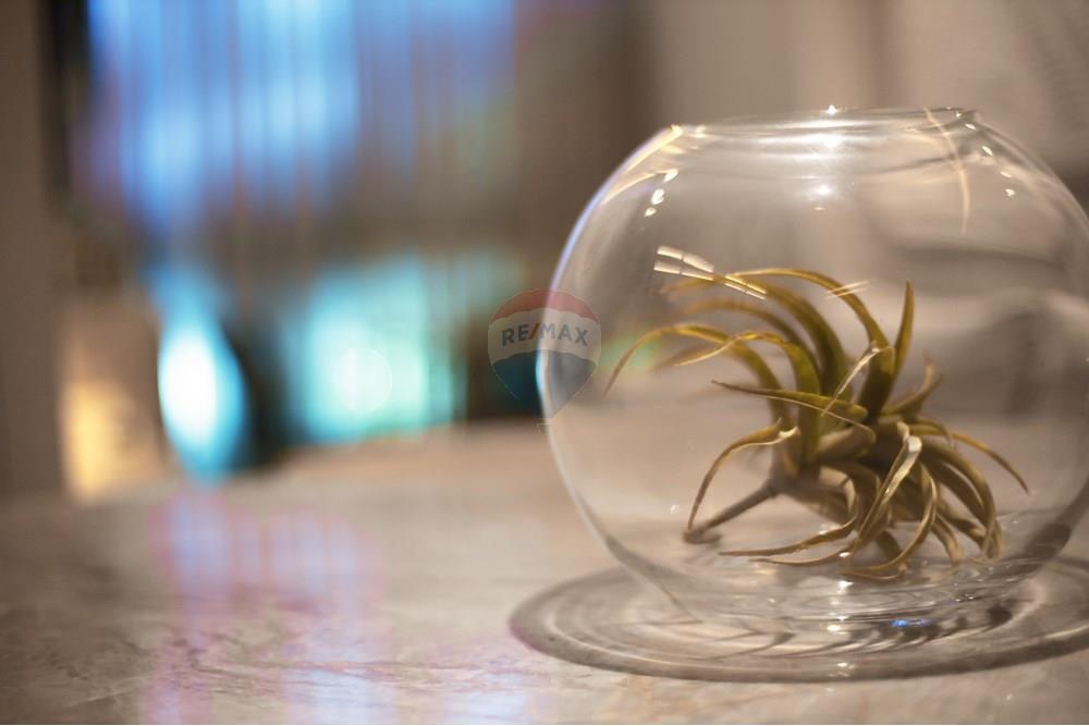 Apartamento - Venda - Recife , Pernambuco - ARTÍSTICA 1 - Copia.jpg - 850071021-28