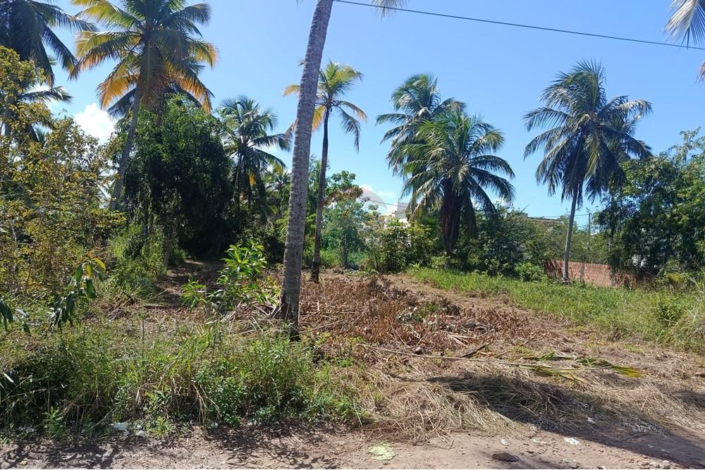 Terreno - Venda - Maragogi , Alagoas - IMG_20250531_123344.jpg - 850291008-73
