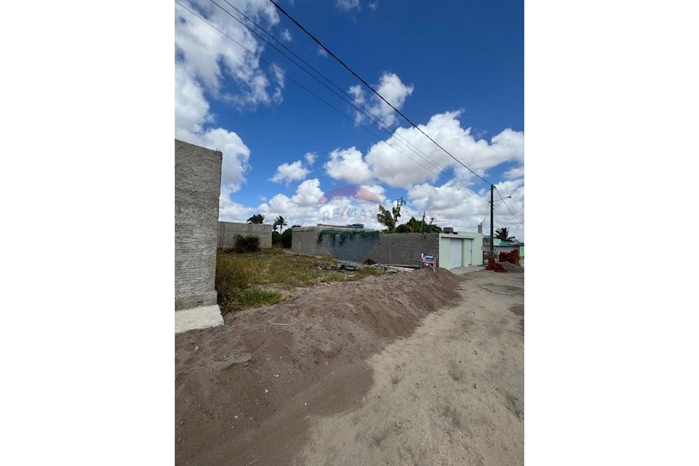 Terreno - Venda - São João , Pernambuco - WhatsApp Image 2026-02-11 at 08.53.14 (7).jpeg - 850131003-535