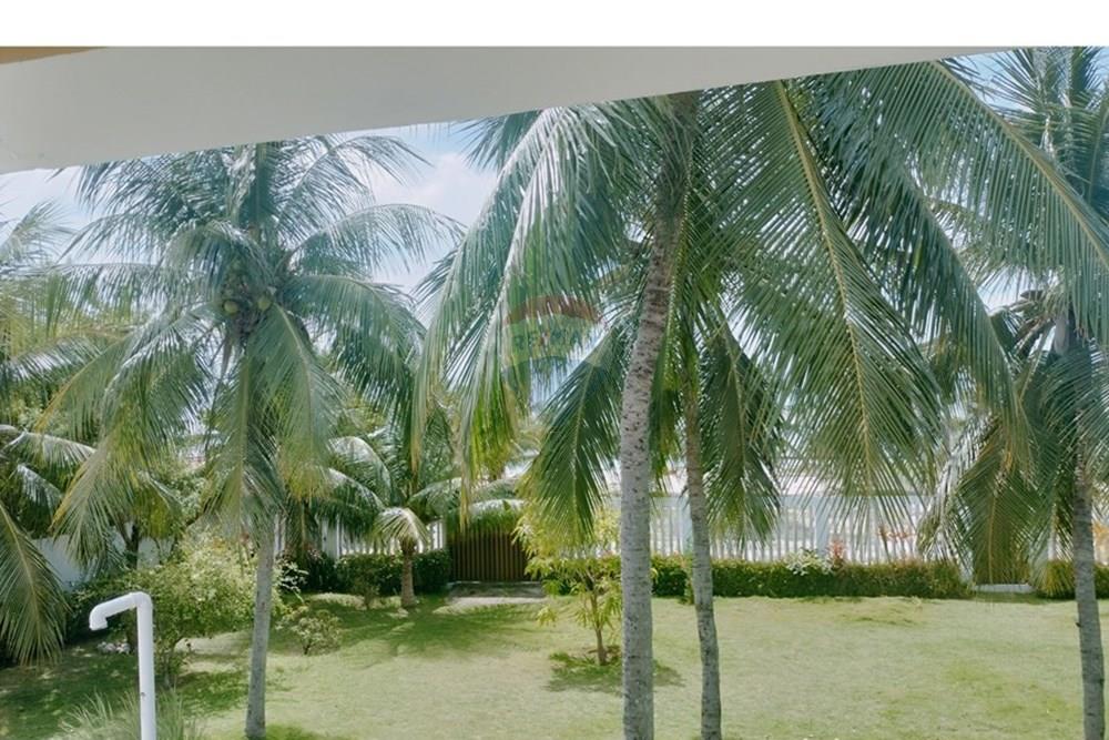 Casa - Venda - Goiana , Pernambuco - VISTA FRENTE.jpg - 850091072-11