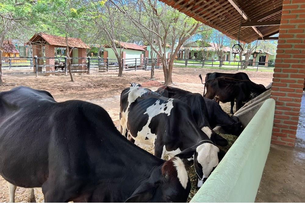 Casa - Venda - Gravatá , Pernambuco - Imagem do WhatsApp de 2025-07-28 à(s) 17.15.33_1250f509.jpg - 850301001-342