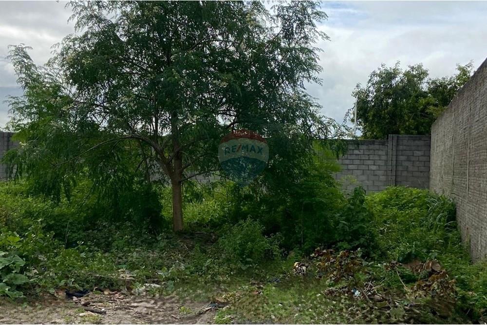 Terreno - Venda - Marechal Deodoro , Alagoas - IMG-20250721-WA0699~2.jpg - 850641022-69