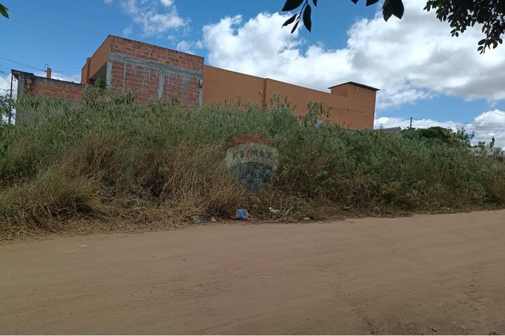 Terreno - Venda - Garanhuns , Pernambuco - WhatsApp Image 2025-11-14 at 12.55.38 (1).jpeg - 850741002-1