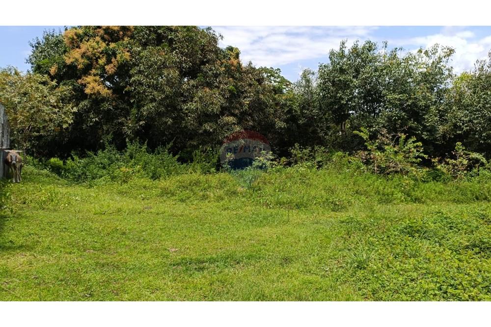 Terreno - Venda - Paulista , Pernambuco - WhatsApp Image 2025-10-11 at 10.27.06.jpeg - 850501060-494