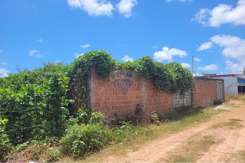 Terreno - Venda - Cabo de Santo Agostinho , Pernambuco - WhatsApp Image 2025-02-18 at 14.44.12 (3).jpeg - 850281001-32
