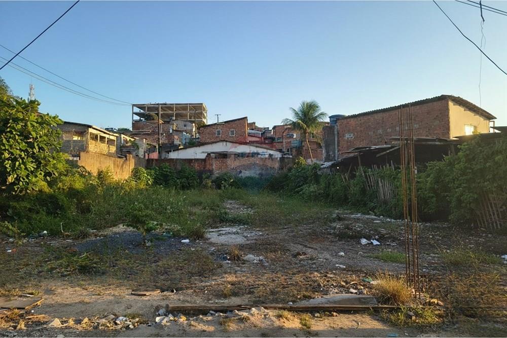 Terreno - Venda - Recife , Pernambuco - Generated Image February 20, 2026 - 11_51AM_cleanup.jpg - 850191023-68