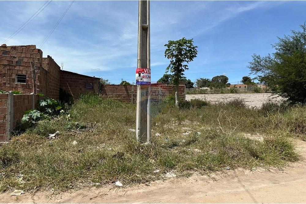 Terreno - Venda - Garanhuns , Pernambuco - WhatsApp Image 2025-05-13 at 21.24.53.jpeg - 850131003-443