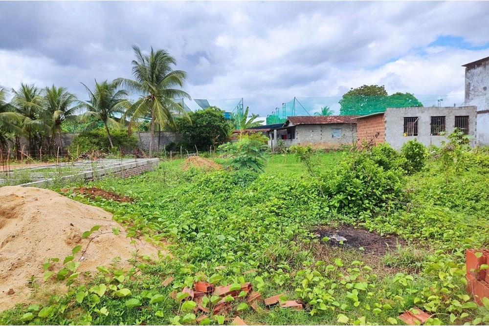 Terreno - Venda - Cabo de Santo Agostinho , Pernambuco - WhatsApp Image 2025-11-14 at 09.22.29 (4).jpeg - 850281001-56