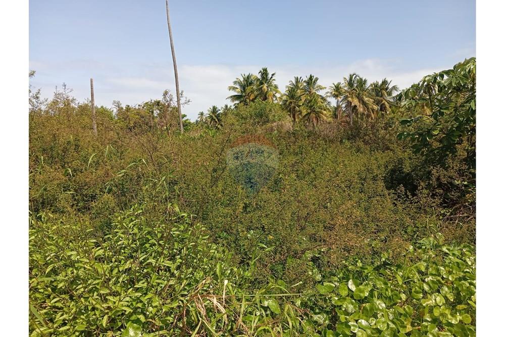 Terreno - Venda - São Miguel dos Milagres , Alagoas - WhatsApp Image 2025-10-17 at 21.01.57 (1).jpeg - 850271222-9