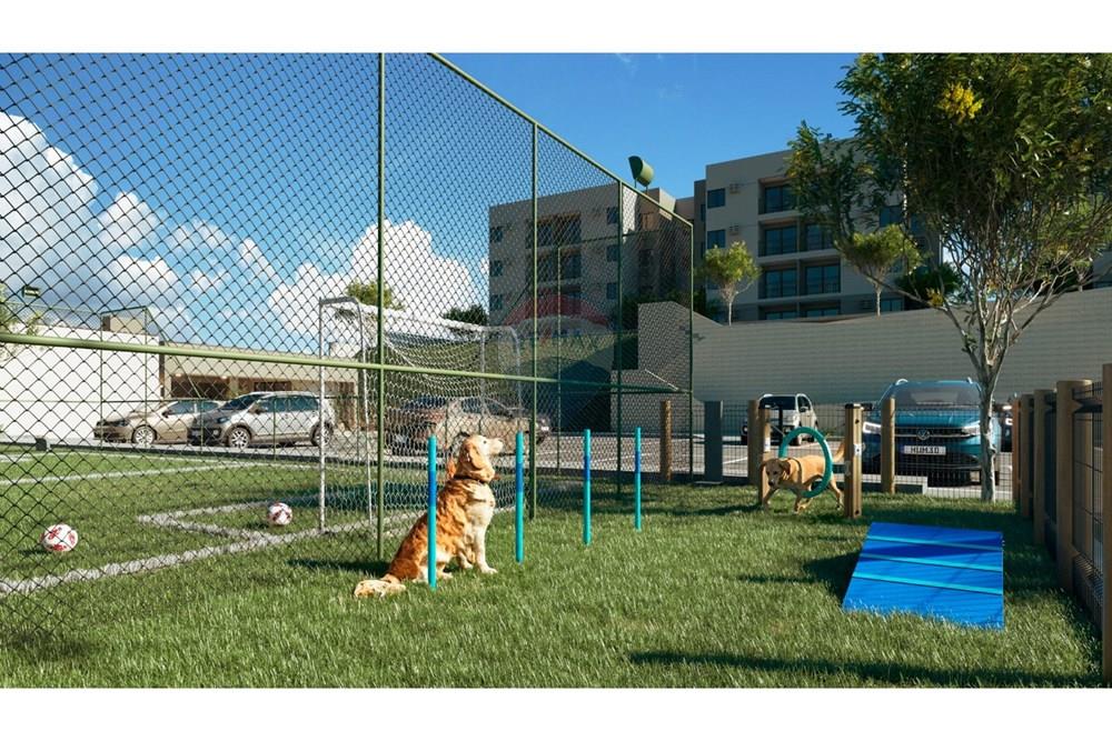 Apartamento - Venda - Cabo de Santo Agostinho , Pernambuco - WhatsApp Image 2025-07-24 at 09.57.12.jpeg - 850281003-1329