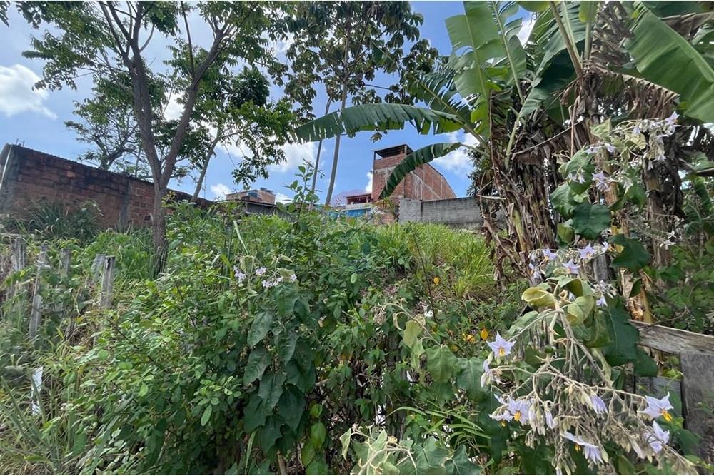 Terreno - Venda - Cabo de Santo Agostinho , Pernambuco - WhatsApp Image 2025-12-27 at 12.10.26 (7).jpeg - 850281001-61