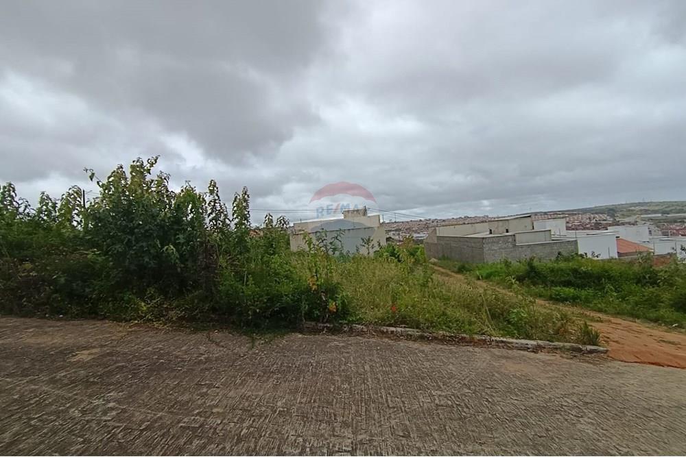Terreno - Venda - Garanhuns , Pernambuco - WhatsApp Image 2025-10-14 at 10.45.37 (2).jpeg - 850741008-1