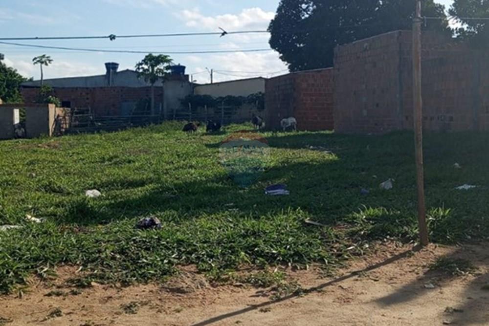 Terreno - Venda - Lajedo , Pernambuco - WhatsApp Image 2026-01-09 at 10.26.27.jpeg - 850131012-51