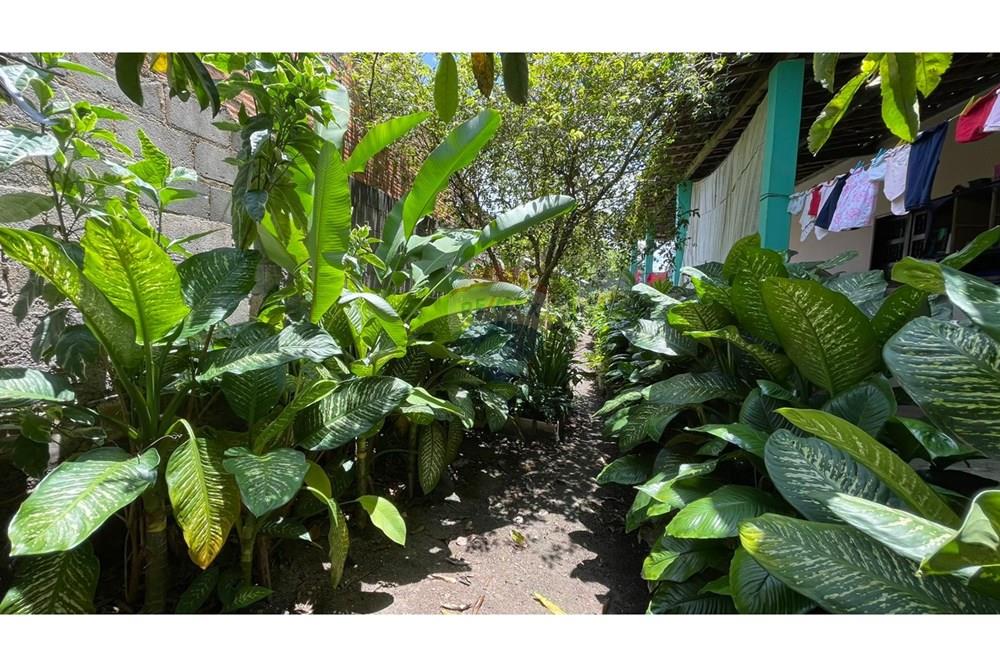 Chácara / Sítio / Fazenda - Venda - Maceió , Alagoas - dd810e85-ad2d-4c3f-8149-16022d5b98f3.jpeg - 850271147-49