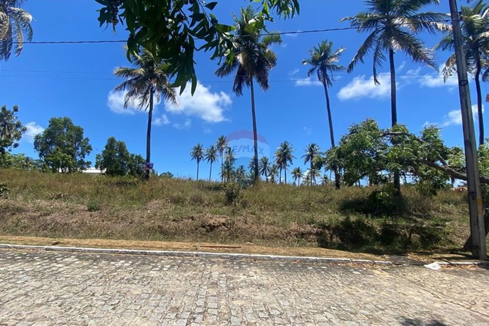 Terreno - Venda - Maragogi , Alagoas - IMG_1527.jpg - 850271264-8